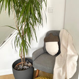 Gray armchair with a white cushion and brown cover, next to a potted plant in a room.