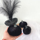 Black velvet pumpkins with feathers on a white background