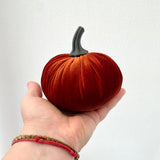 Hand holding a small red velvet pumpkin against a white background
