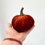 Hand holding a small red velvet pumpkin against a white background