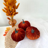 Three orange velvet pumpkins with gray stems on a white surface with a woven mat and dried plants.