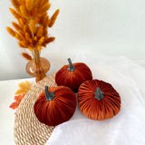 Three orange velvet pumpkins with gray stems on a white surface with a woven mat and dried plants.