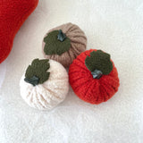 Three trendy pumpkins in red, green, and white on a textured white surface.