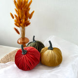 Three velvet pumpkins in red, green, and gold on a white surface with a vase of dried grasses in the background.