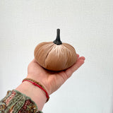Hand holding a small beige pumpkin against a white background
