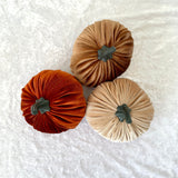 Three decorative pumpkins in orange, brown, and beige on a textured white background