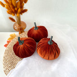 Three brown velvet pumpkins with black stems on a white surface, surrounded by decorative elements.