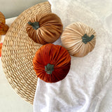 Decorative pumpkins in brown, orange, and beige on a textured surface
