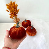 Hand holding a velvet pumpkin with two others on a white surface and dried plants in the background.