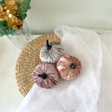 Decorative pumpkins on a woven mat with a plant in the background