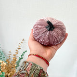 Hand holding a pink velvet pumpkin with a black stem against a light background