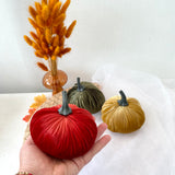Hand holding a red velvet pumpkin with two other pumpkins in the background on a white surface.