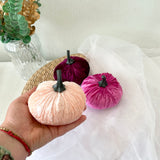 Hand holding a pink velvet pumpkin with two other pumpkins on a white surface.