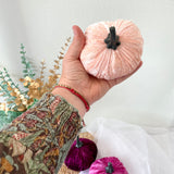 Hand holding a pink decorative pumpkin with a neutral background
